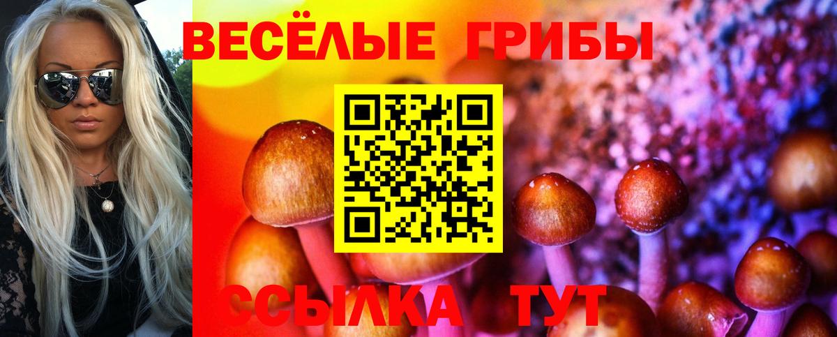 Псилоцибиновые грибы Psilocybine cubensis  Вход с VPN  Муром  Галлюциногенные грибы Cubensis 